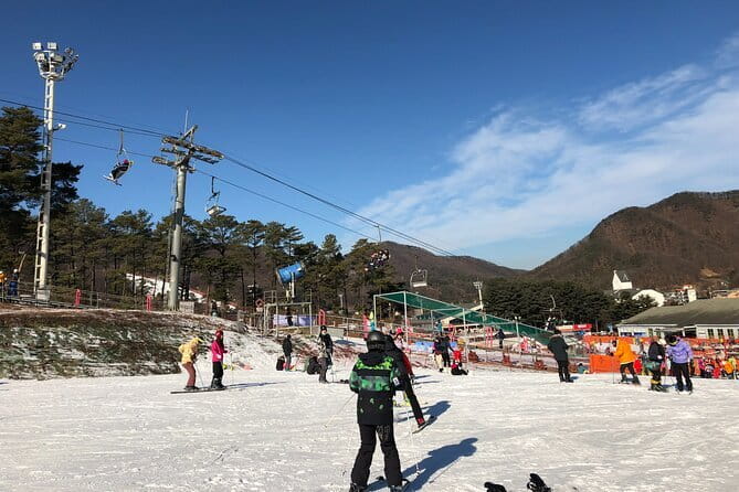 Jisan Forest Ski Resort and Everland 1 Day Tour - Why this Seoul day tour works