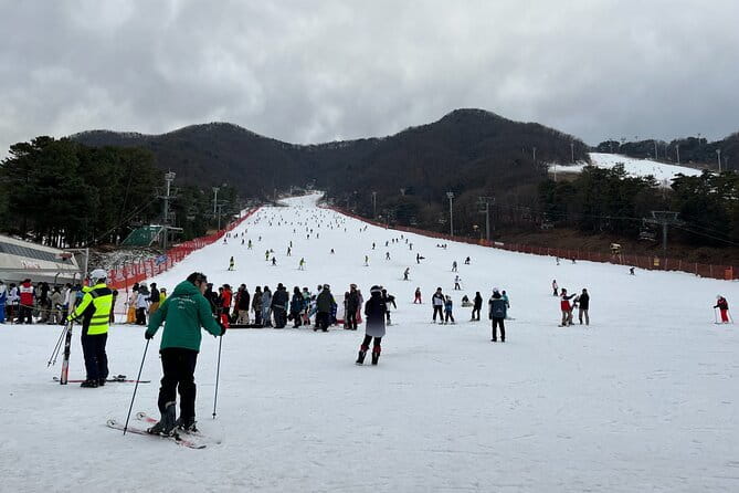 Jisan Forest Ski Resort and Everland 1 Day Tour - What you actually receive at the ski resort