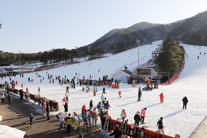 Jisan Forest Winter Ski Day Tour from Seoul with Basic Lesson - The journey from Seoul and the long winter day