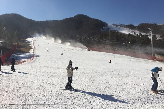 Jisan Forest Winter Ski Day Tour from Seoul with Basic Lesson - What the one-hour basic lesson is really worth