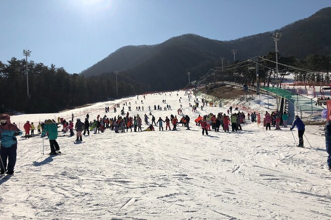 Jisan Ski One Day Tour - Eight hours at Jisan Forest Resort