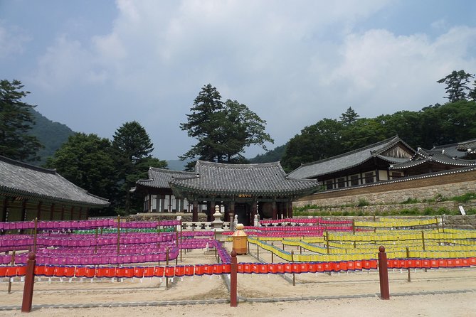 Junam Wetlands and Haeinsa Temple Tour - How the nine-hour schedule works