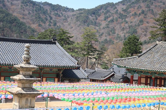 Junam Wetlands and Haeinsa Temple Tour - Haeinsa Temple and the Tripitaka Koreana