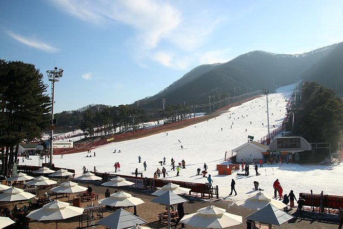 Korea Ski Tour from Seoul - Jisan Resort with Isaac Toast - Why Jisan works for a Seoul winter day