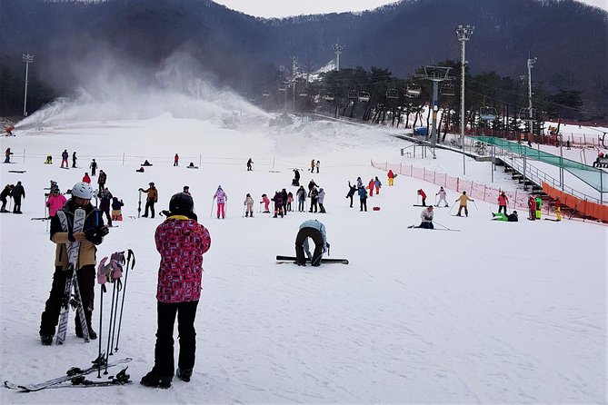 Korea Ski Tour from Seoul - Jisan Resort with Isaac Toast - The 120-minute lesson is best for complete beginners