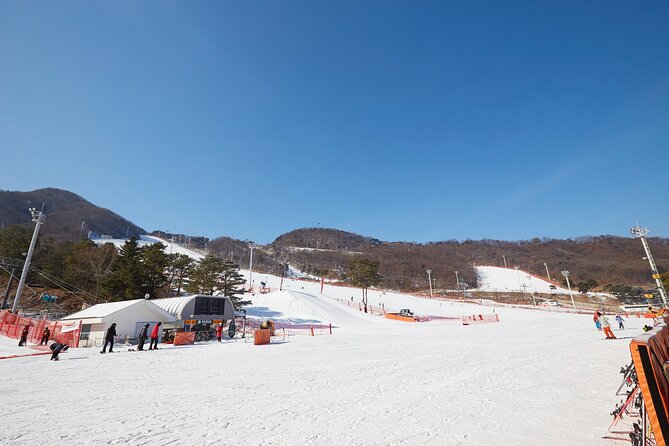 Korea Ski Tour from Seoul - Jisan Resort with Isaac Toast - Snow sledding is the easier alternative