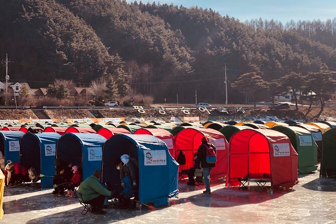 Korea Winter Ice Fishing Festival (Pyeongchang Trout Festival) - 11:30 ice fishing: the main event