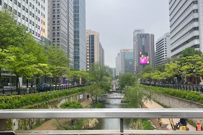 [KoreaByLocal] Authentic Seoul Night Walk and Chicken & Beer - Gwanghwamun Square: big history in a public space