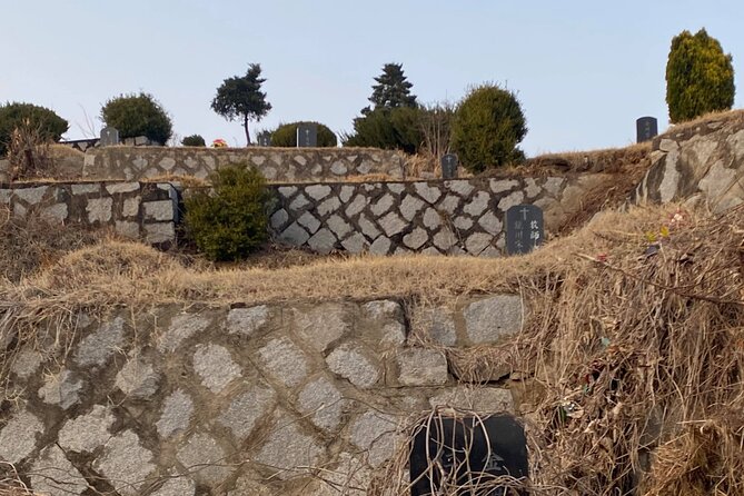 Korean Cemetery and Folklore Trek - Why This Cemetery Visit Feels Different