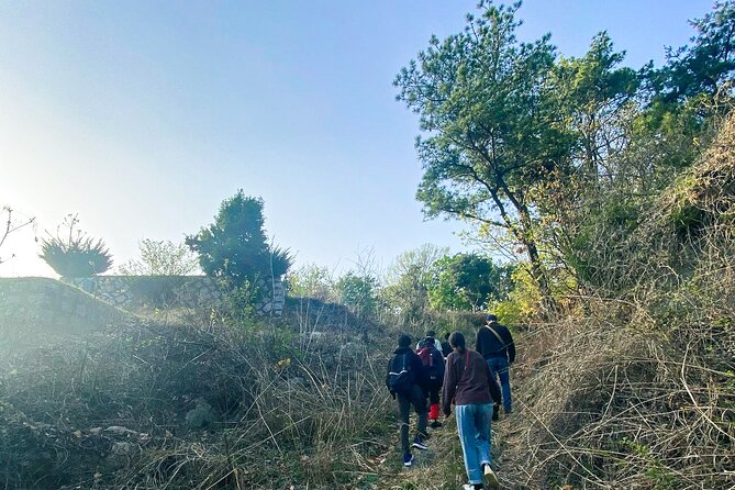 Korean Cemetery and Folklore Trek - Is $66 a Fair Price?