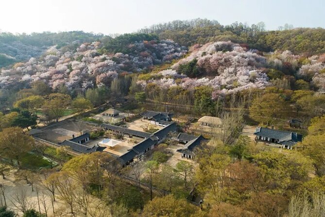 Korean Folk Village Afternoon Half day Tour - Practical advice for a better visit