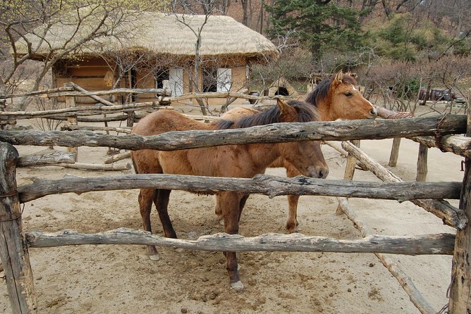 Korean Folk Village Afternoon Tour from Seoul - What the guide adds to the afternoon