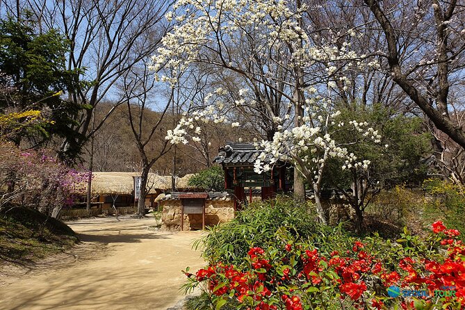 Korean Folk Village Half-day Guided Tour from Seoul - The return to Myeongdong