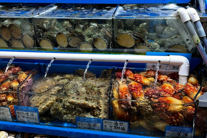 Korean Market Adventure with Chef Yie - Noryangjin Fish market - Is $150 per person a fair price?