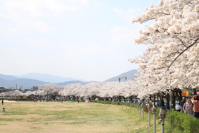 Korean UNESCO World Heritage Tour including Gyeongju, Andong and Daegu(2N3D) - What the private price really buys you
