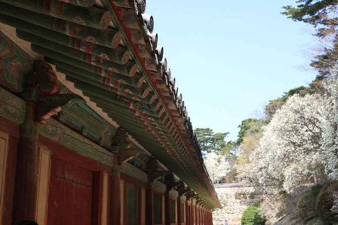 Korean UNESCO World Heritage Tour including Gyeongju, Andong and Daegu(2N3D) - Who should book this three-day route?