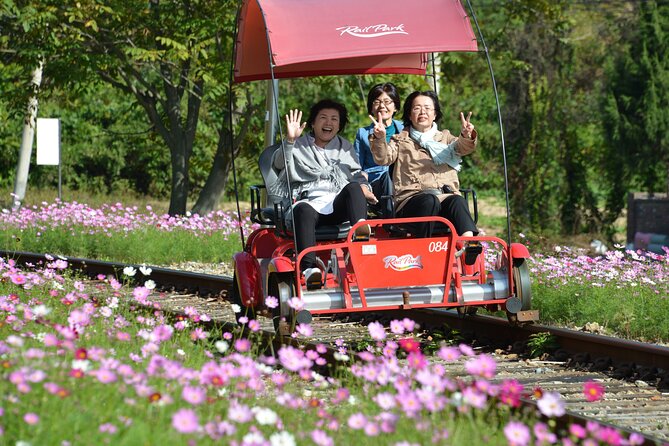 LEGOLAND Ticket with Transport & opt Railbike Day Tour from Seoul - Who will get the most from this tour