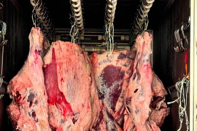 Majang Meat Market Experience: Private Tour with Han-woo Beef BBQ - Why Majang Meat Market makes a better food stop