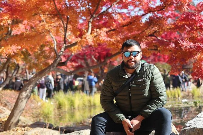 Make Your Trip Around Nami Island With an Expert(DSLR option) - Why this private Seoul day trip works