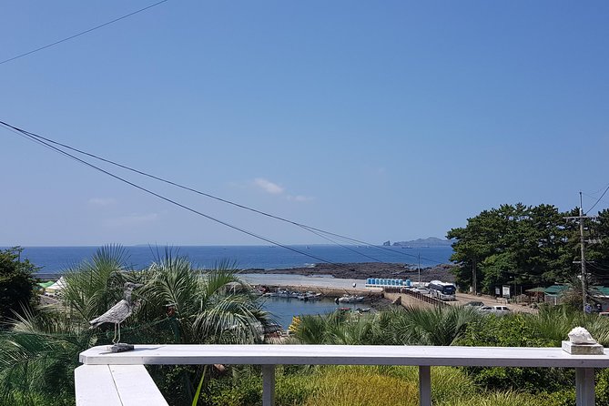 Making Jeju Pony Doll at Peaceful Seaside cafe - Who will enjoy this most?