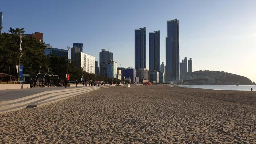 "Marseille of Korea" Busan Private Tour with French Guide - Transport, time, and the value of going private