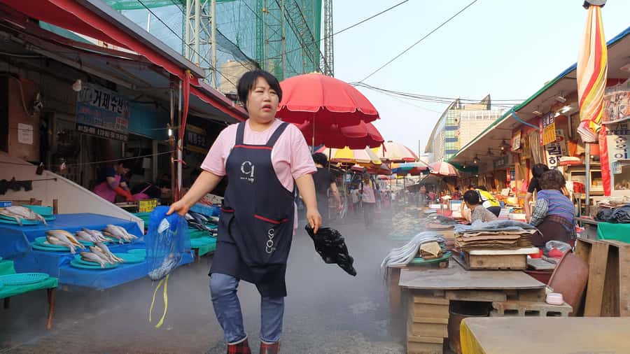 "Marseille of Korea" Busan Private Tour with French Guide - Why Busan works as Korea’s Marseille