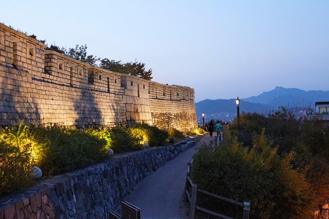 Moonlight Rainbow Fountain Show Night Tour in Seoul - What this Seoul night tour is really like
