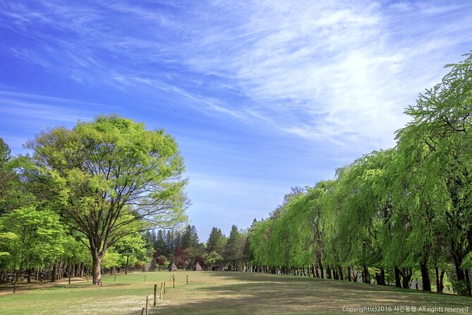 Mount Seorak and Nami Island One Day Tour from Seoul - Visit order, seasons, and weather