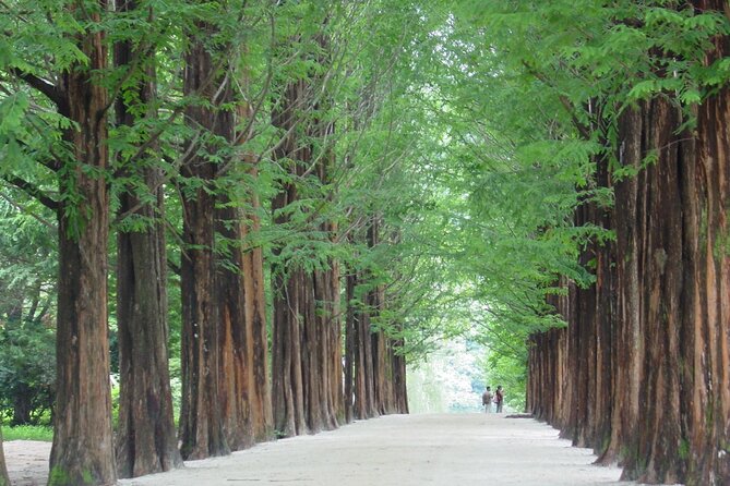 Mount Seorak and Nami Island One Day Tour from Seoul - The early start and the long road from Seoul