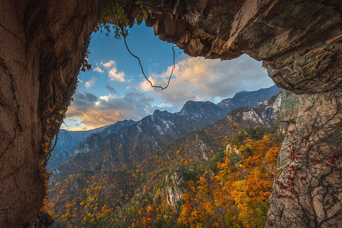 Mt.Seorak & Naksan Temple Day Trip from Seoul - Group size, guide service, and the pace