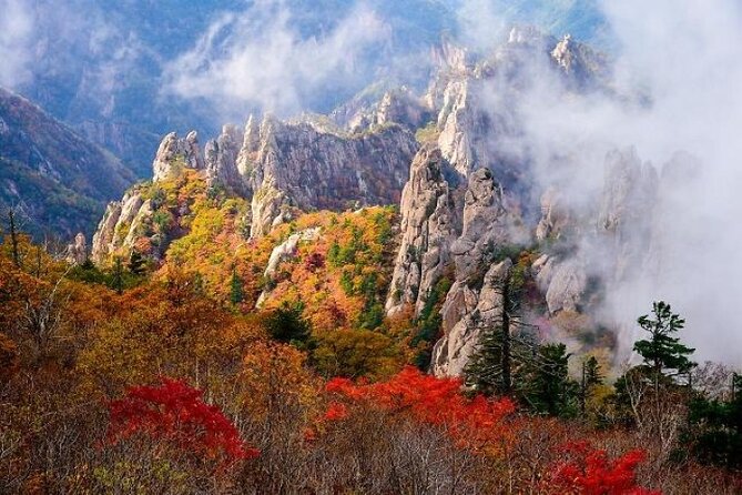 Mt.Seorak & Naksan Temple Day Trip from Seoul - Seoraksan National Park in autumn
