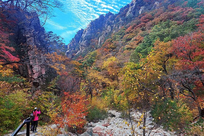 Mt. Seorak+Nami Island+Garden of Morning Calm Day Trip from Seoul - Why this day trip works from Seoul