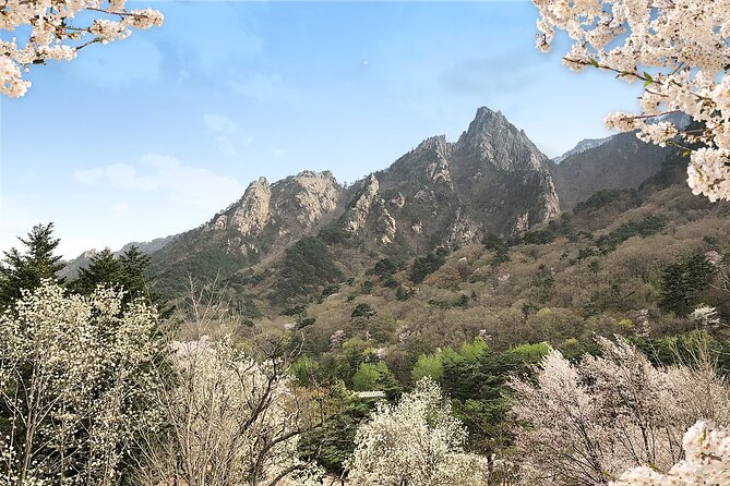 Mt. Seorak+Nami Island+Garden of Morning Calm Day Trip from Seoul - Nami Island by ferry and on foot