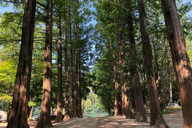 Mt. Seorak+Nami Island+Garden of Morning Calm Day Trip from Seoul - The guide can make or break the schedule