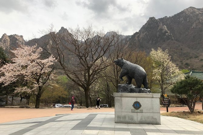 Mt. Seorak+Nami Island+Garden of Morning Calm Day Trip from Seoul - Meals, optional costs, and the real value