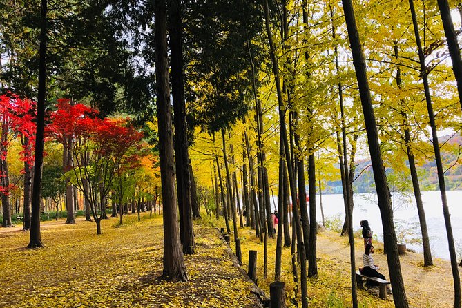 Mt. Seorak+Nami Island+Garden of Morning Calm Day Trip from Seoul - Who will enjoy this packed day