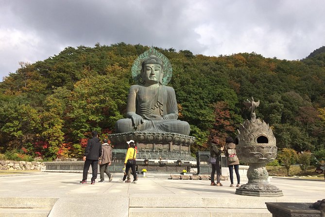 Mt. Seorak+Nami Island+Garden of Morning Calm Day Trip from Seoul - Should you book the Mt. Seorak, Nami Island, and Garden of Morning Calm tour?