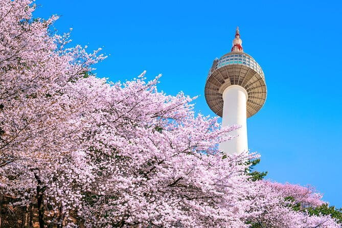 N Seoul Tower Observatory Ticket South Korea - Key points before you book