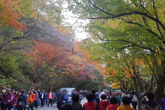 Naejangsan National Park Autumn Foliage One Day Tour from Busan - Why Naejangsan is worth the long trip from Busan