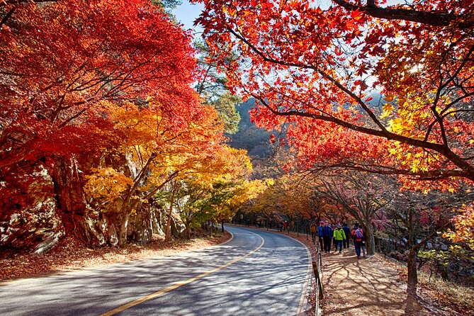 Naejangsan National Park Autumn Foliage One Day Tour from Busan - Naejangsa Temple and its 1,300-year story
