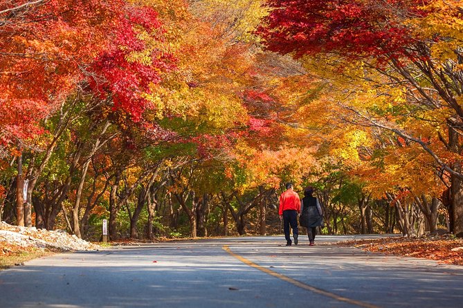 Naejangsan National Park Autumn Foliage One Day Tour from Busan - Five hours for lunch, photos, and your own pace