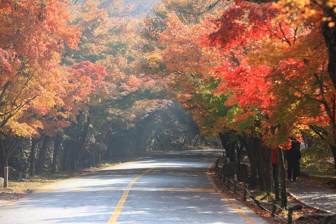 Naejangsan National Park Autumn Foliage One Day Tour from Busan - The afternoon return and the real value of $62