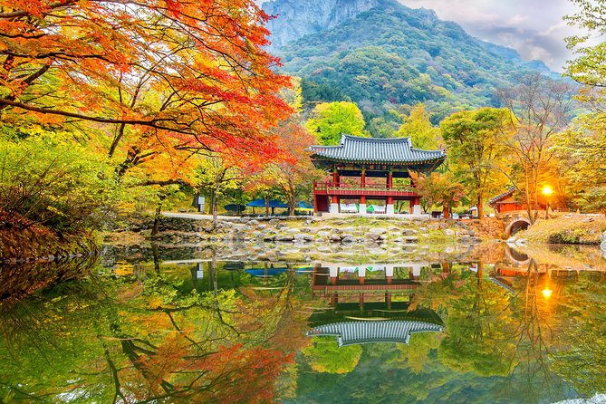 Naejangsan National Park Autumn Foliage One Day Tour from Busan - Guide service, group size, and how the day feels