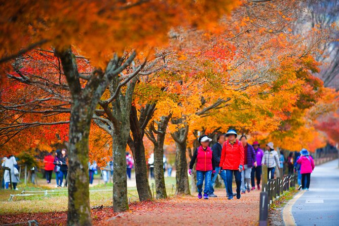Naejangsan National Park Autumn Foliage One Day Tour from Busan - The morning ride and arrival around 10:40