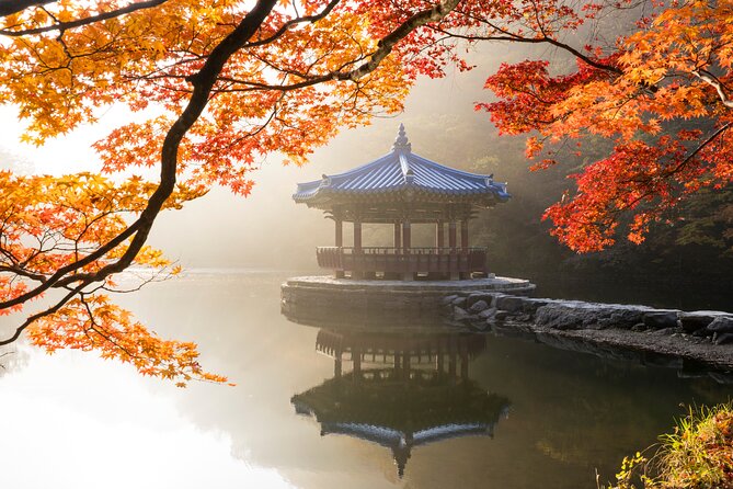 Naejangsan National Park Autumn Foliage One Day Tour from Seoul - Why Naejangsan is worth the distance from Seoul