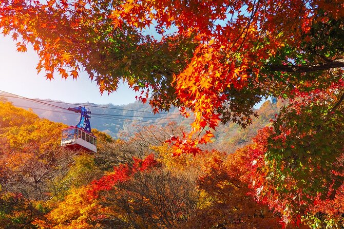 Naejangsan National Park Autumn Foliage One Day Tour from Seoul - Five hours among Naejangsan’s autumn colors