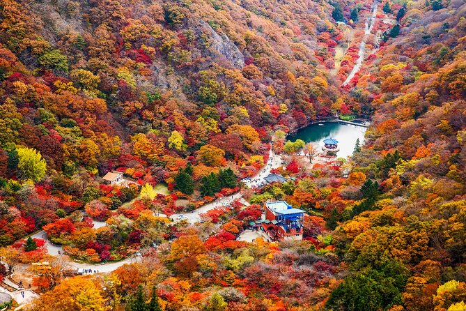 Naejangsan National Park Autumn Foliage One Day Tour from Seoul - Naejangsa Temple and the story behind the trees