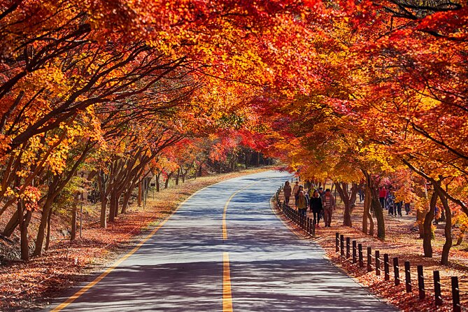 Naejangsan National Park Autumn Foliage One Day Tour from Seoul - The included shuttle bus and how the park visit works