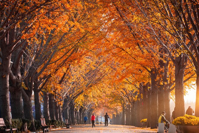 Naejangsan National Park Autumn Foliage One Day Tour from Seoul - What the $46.29 price really buys