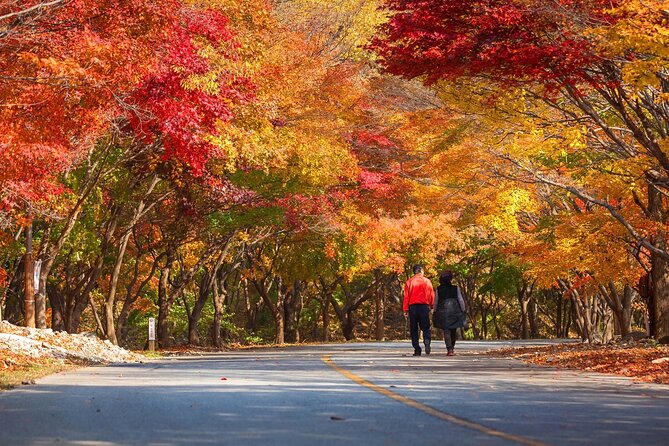 Naejangsan National Park Autumn Foliage One Day Tour from Seoul - Who will enjoy this day trip most